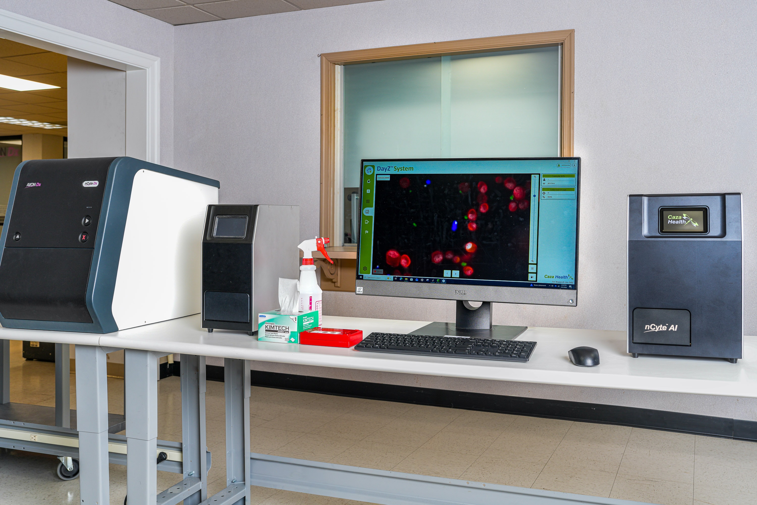 Scientist working in a women's health research laboratory